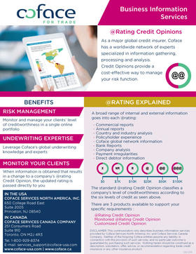 Know Your B2b Customer With Rating Credit Opinions